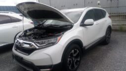 2019 Honda CRV full